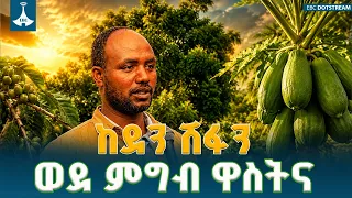 የአረንጓዴ አሻራ ፍሬዎች እና የተረጋገጠው የምግብ ዋስትና | የኢትዮጵያ የደን ሽፋን እድገት