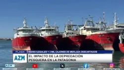 El impacto de la depredación pesquera en la patagonia