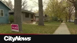 Winnipeg election: What matters to voters in Fort Rouge–East Fort Garry?