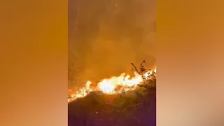 Zjarri zbret drejt banesave në Pocest të Dibrës,ndërhyrja e zjarrfikësve shmang përhapjen e flakëve
