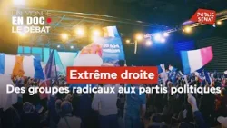 Extrême droite : des groupes radicaux aux partis politiques
