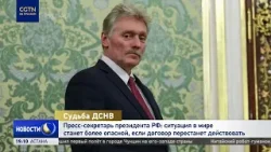 Дмитрий Песков: ситуация в мире станет более опасной, если ДСНВ перестанет действовать