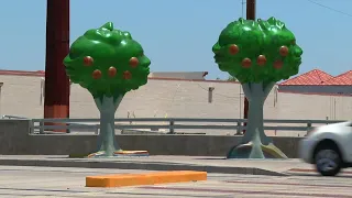 Did taxpayers actually pay $300k for these orange trees?