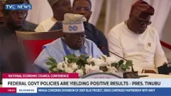 FG Policies Are Yielding Positive Results - Pres. Tinubu