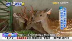 小三通交通便利 金門台商搶先登「鹿」 《海峽拼經濟》