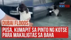 Dubai floods – Cat clings to car door to survive flash flooding | GMA Integrated Newsfeed