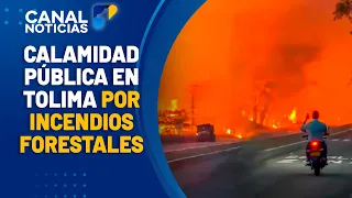 Tolima: Over 50,000 hectares affected by forest fires | Canal 1 News