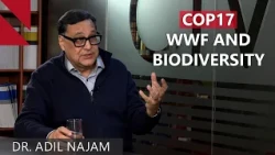 COP17 Armenia: Big Promises, but Will Countries Deliver?