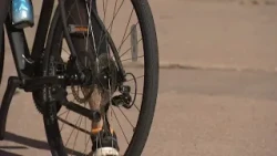 Jewish Deli Bike Tour makes stops at 3 delis, bagel shops