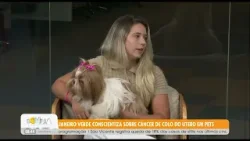 #BDCAnimal: Janeiro Verde conscientiza sobre câncer de colo do útero em pets - 30/1/26
