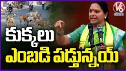 Dogs Issue Rise In Hyderabad : TRS Chief Kavitha | V6 News