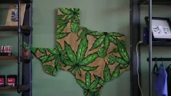 Texas hemp businesses in limbo awaiting final decision on new rules that hike fees 13,000% Texas hemp businesses in limbo awaiting final decision on new rules that hike fees 13,000%