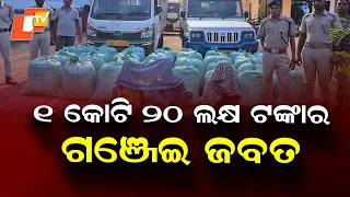 ₹1.20 Crore Ganja Seized in Ganjam; 3 Arrested With Two Pickup Vans