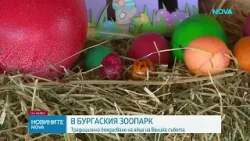 Боядисаха великденски яйца от над 40 вида птици в зоопарка в Бурга | 11 апр. 2026