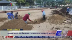 Turismo seguro: Roatán controla el impacto del sargazo