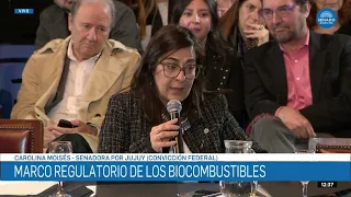 SENATOR CAROLINA MOISÉS - JOINT COMMITTEE ON MINING, ENERGY AND BUDGET 09/03/26