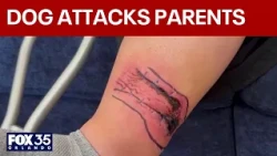 Parents say they were attacked by dog while shielding baby
