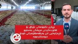 بڕیاری حکوومەتی عێراق بۆ هاوردەکردنی هێلکە و مریشک ناڕەزایەتی بەرهەمهێنەرانی ناوخۆی لێکەوتووە