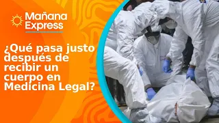 Director of the Institute of Legal Medicine reveals how bodies are identified and released after ...