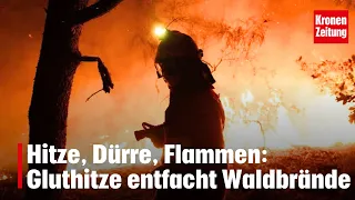 Heat, drought, flames: Scorching temperatures spark new wildfires | krone.tv NEWS