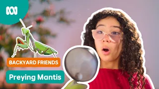 Is that insect...GRUMPY?! 🦗😠| Gardening Australia Junior | ABC Kids