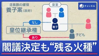 皇室典範　改正案が閣議決定も…皇位継承めぐり“残る火種”【スーパーJチャンネル】(2026年6月30日)