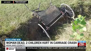 Woman killed, toddler hurt in horse and buggy crash in Ohio