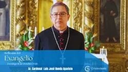 Gospel Reflection | October 11
