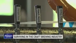 What does it take to survive in the craft brewing industry?