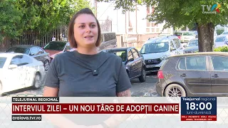 31 08 ADOPTION FAIR DAY INTERVIEW August 31