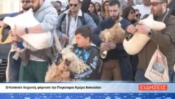 ΔΕΛΤΙΟ ΕΙΔΗΣΕΩΝ ΤΗΣ ΣΑΜΙΑΚΗΣ ΤΗΛΕΟΡΑΣΗΣ 17-03-26