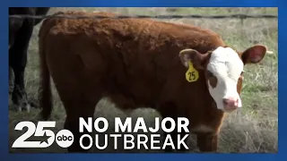 Texas has held off a major screwworm outbreak, but ranchers are urged to stay alert