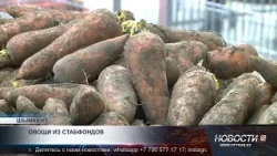 57 тысяч тонн овощей направили из стабилизационных фондов