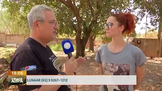 Projeto Lunaar suspends rescues due to lack of funds and accumulates debt of over R$ 300,000