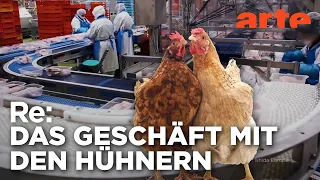 Ein Dorf und 1 Million Hühner | ARTE Re: