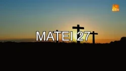 Bible Reading - Matthew 27