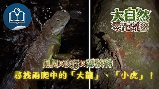 大自然零距離2 | 尋找兩爬中的「大龍」、「小虎」！| 兩爬 x 夜行 x 薄扶林 | 第一集