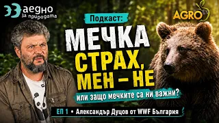 Подкаст: Мечка страх, мен – не или защо мечките са ни важни? | EП 1