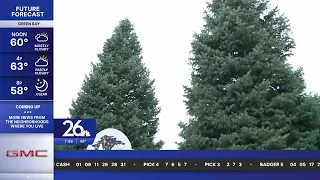 Wisconsin tree selected for White House