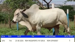 TOURO UFU 744 2026