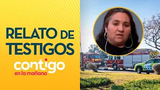 "FLIPPED THROUGH THE AIR": Witnesses recount fatal hit-and-run in Viña del Mar - Contigo en la Ma...