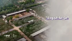 تأسست "مزرعة الجودة" عام 1989، ومنذ ذلك الحين وهي تلتزم بالزراعة الطبيعية | #نرويها