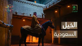 Our Homeland | Saudi Horses.. A Symbol of Authenticity and Pride 🐎
