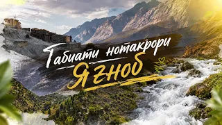 Табиати нотакрори Яғноб - 2026