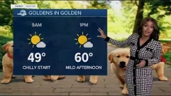 Springlike warmth, elevated fire danger this weekend