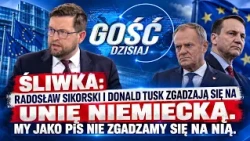 Śliwka: Sikorski and Tusk are agreeing to a German-led EU. We in PiS do not consent to it!