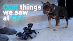 Cool things we saw at CES