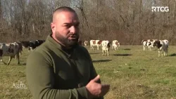 Priče iz Čampara, Zete, Štoja i iz sela Vidne - AGROSAZNANJE