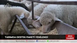 Ordu Altaş TV Ana Haber | 29 Mart 2026