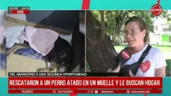 RESCATARON A UN PERRO ATADO EN UN MUELLE Y LE BUSCAN HOGAR